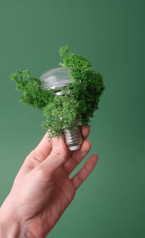 30 Renovation cuisine Perpignan