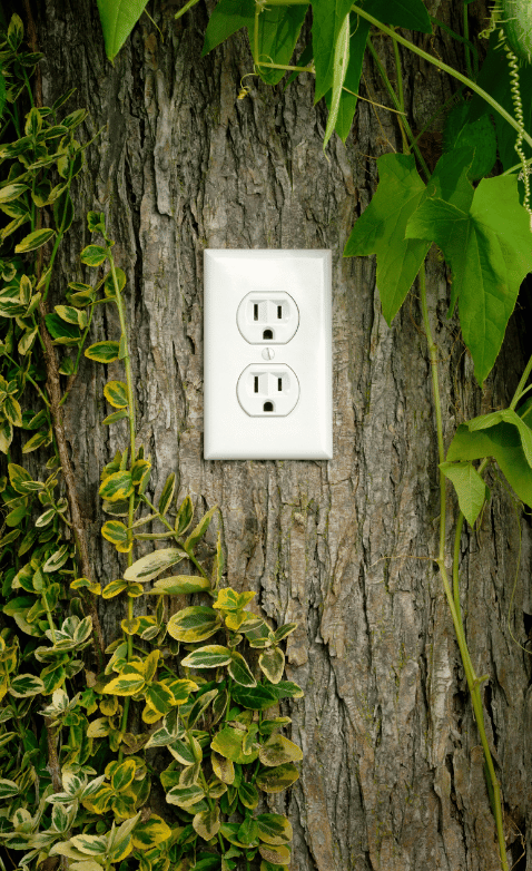 31 Renovation Perpignan