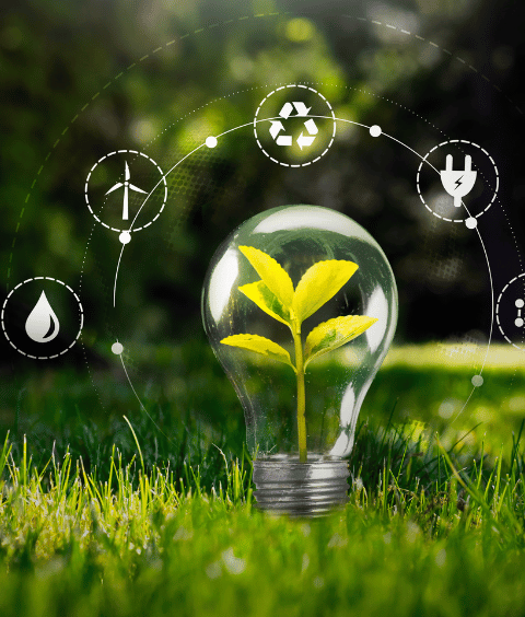 44 Renovation Perpignan